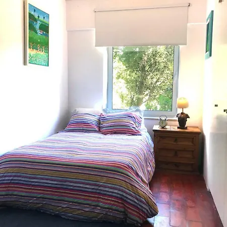 Dream Iv Apartamento